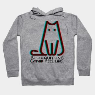 Blurry vision before quiting catnip | Cat lover Hoodie